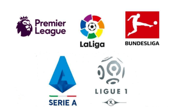 市场上也有 市场上也有